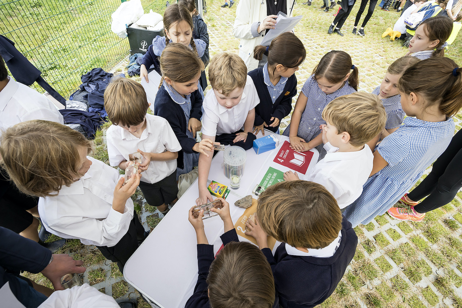 Local students learning about bugs