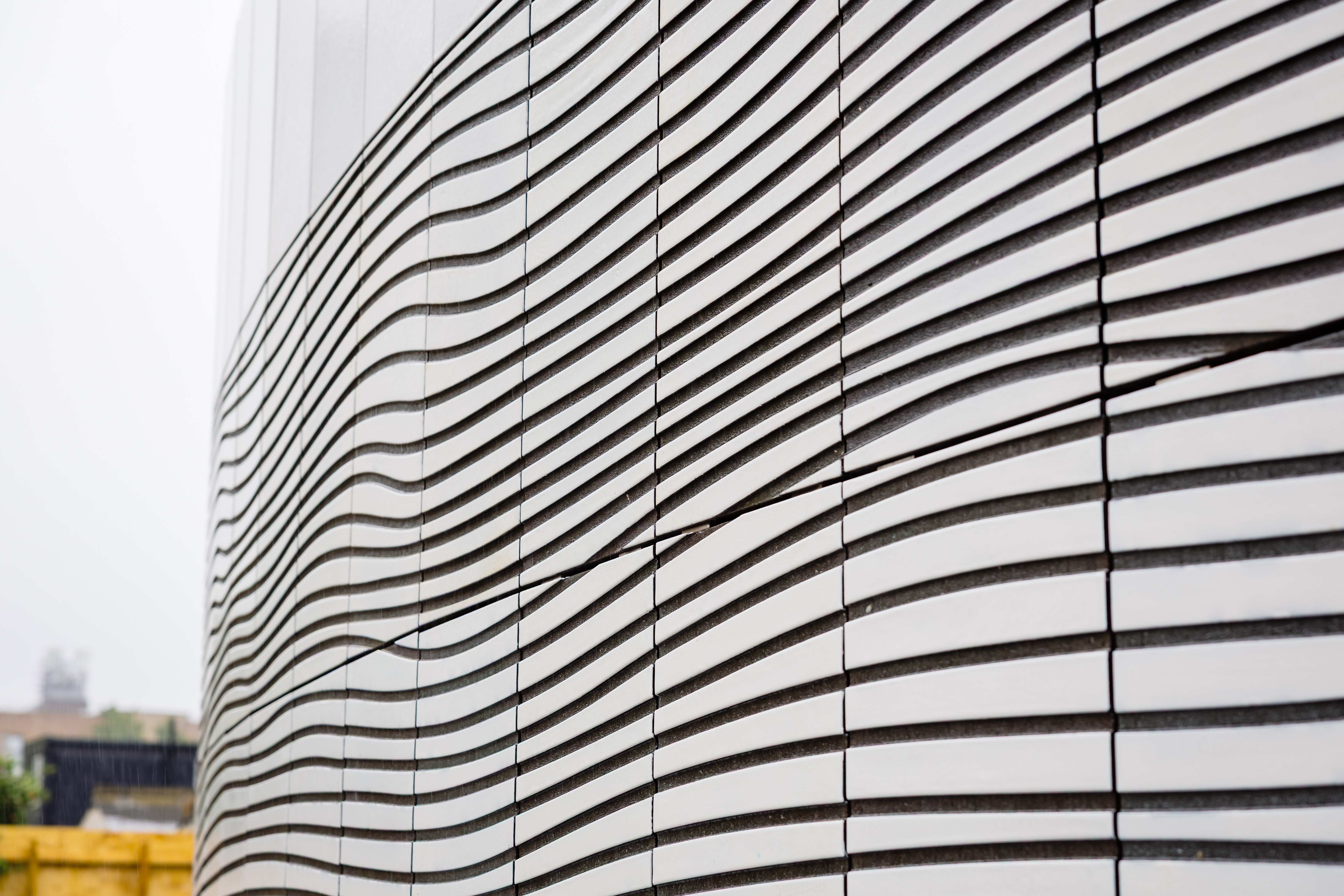 Lubna Chowdhary - Bone, Soot and Oil